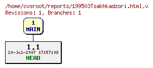 Revision graph of reports/199503Tsakhkadzori.html