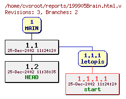Revision graph of reports/199905Brain.html