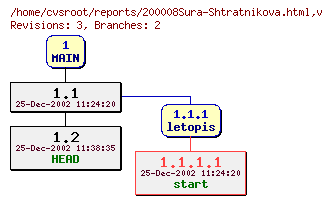 Revision graph of reports/200008Sura-Shtratnikova.html