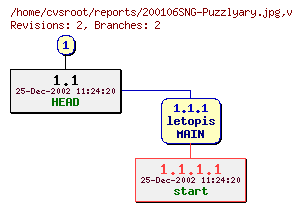 Revision graph of reports/200106SNG-Puzzlyary.jpg