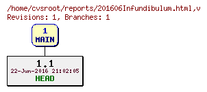 Revision graph of reports/201606Infundibulum.html
